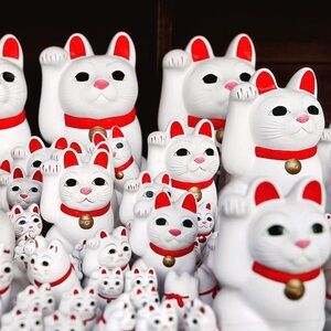 Welcome, CHECK OUT OUR BOUTIQUE ITEMS